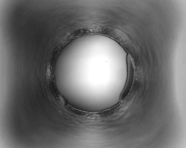 X0000088701298200705311009