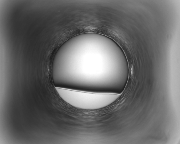 X0000088701299200705311009