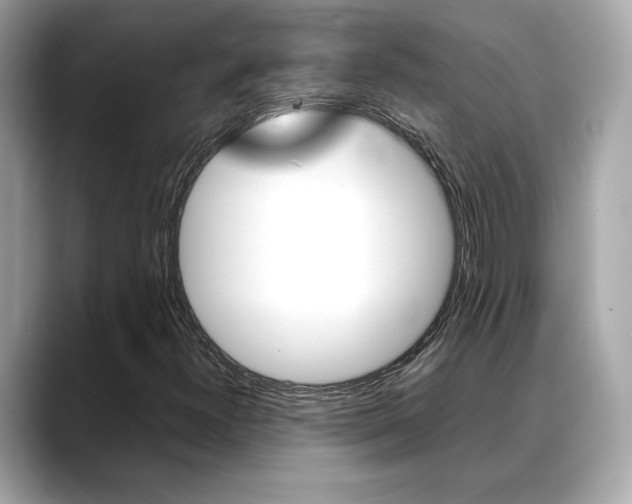 X0000088701300200705311009