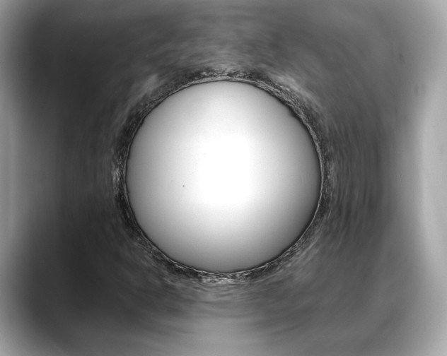X0000088701302200705311009