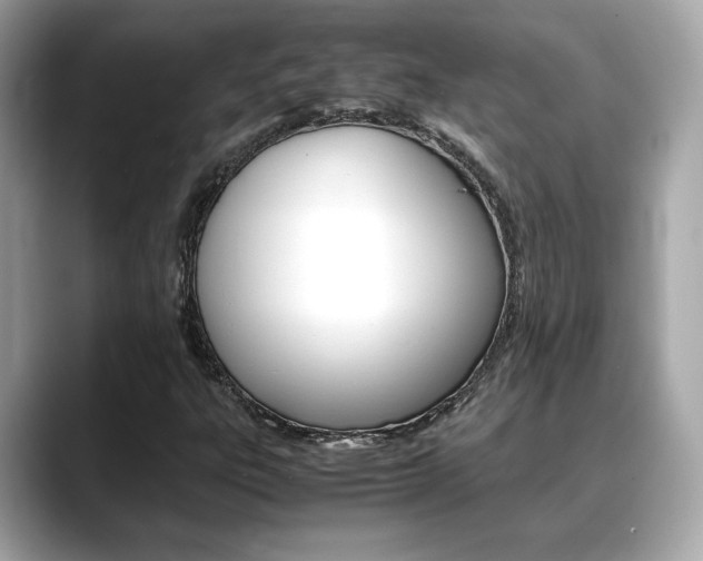 X0000088701303200705311009