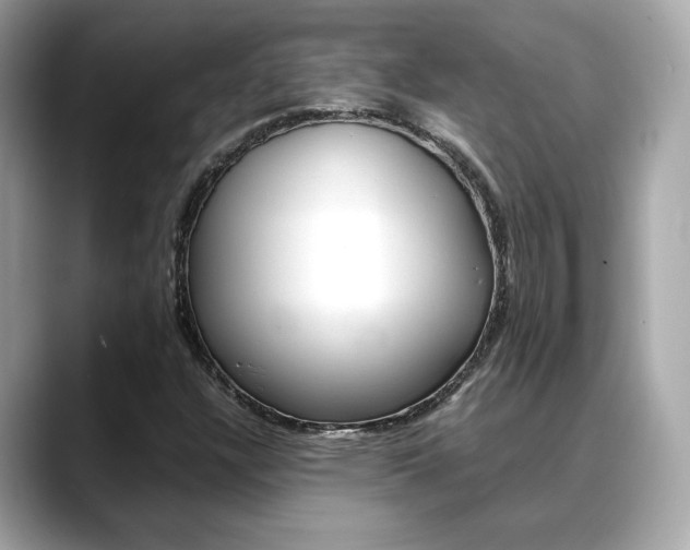 X0000088701304200705311009