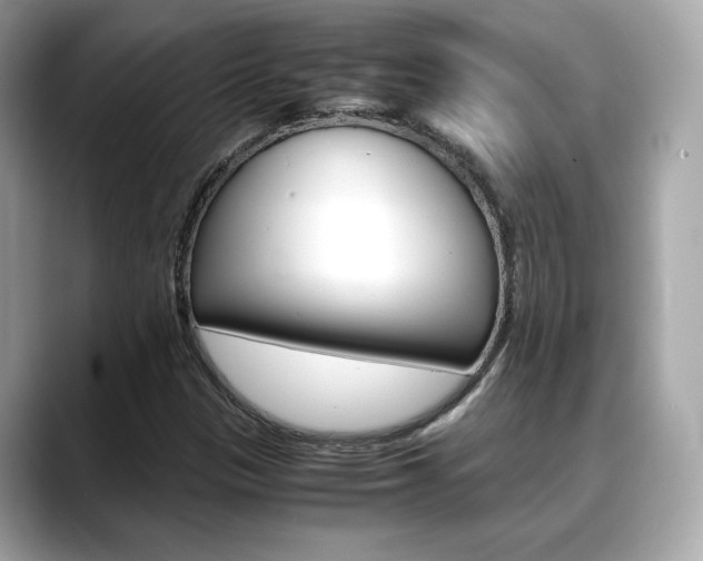 X0000088701305200705311009