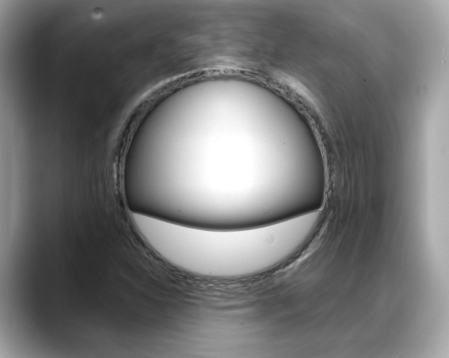 X0000088701310200705311009