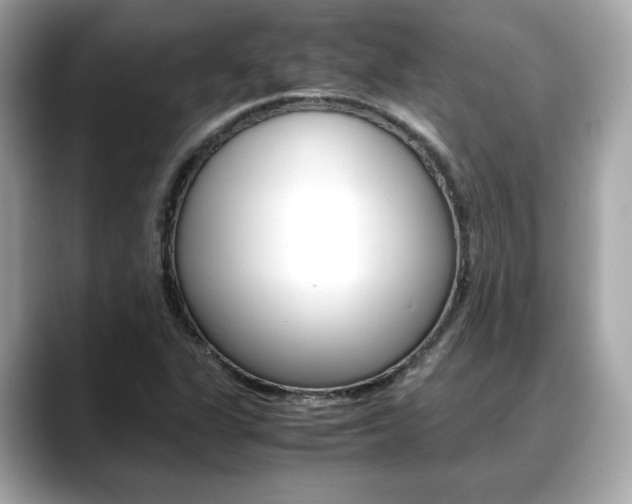 X0000088701311200705311009