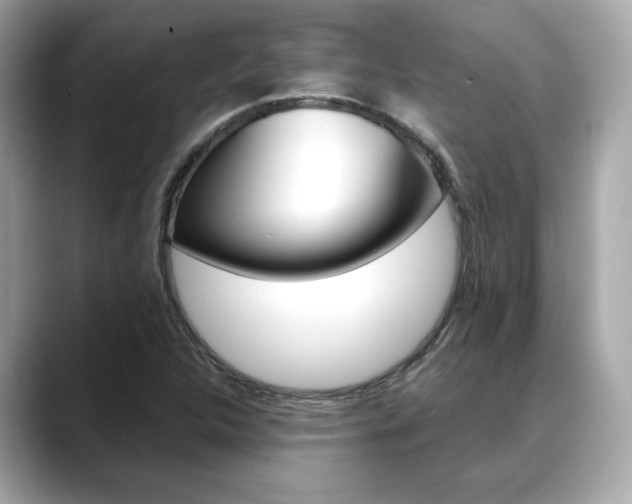 X0000088701312200705311009