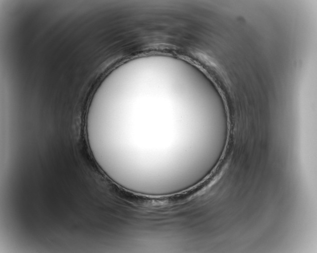 X0000088701313200705311009