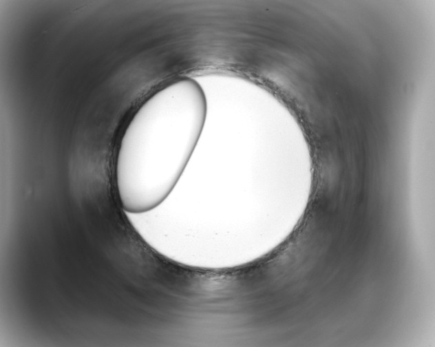 X0000088701314200705311009