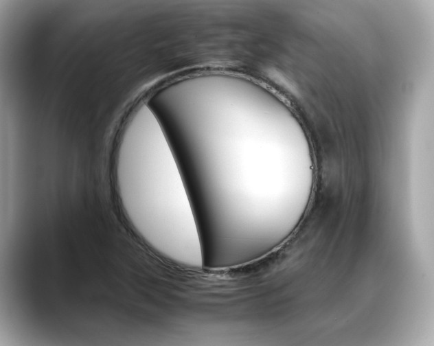 X0000088701315200705311009