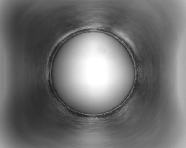 X0000088701316200705311009