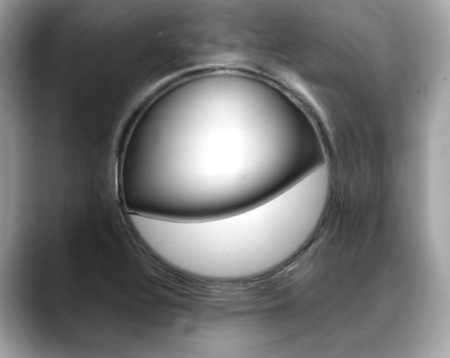 X0000088701320200705311009
