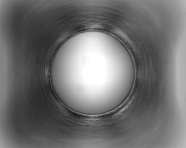 X0000088701321200705311009