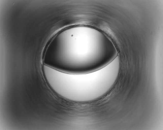X0000088701324200705311009