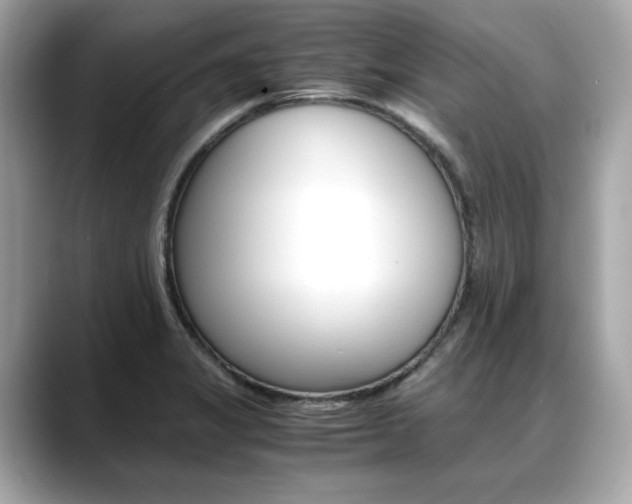 X0000088701325200705311009