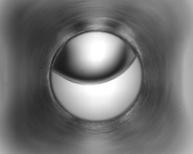 X0000088701330200705311009
