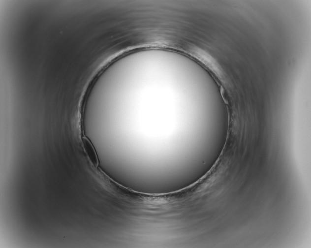 X0000088701332200705311009