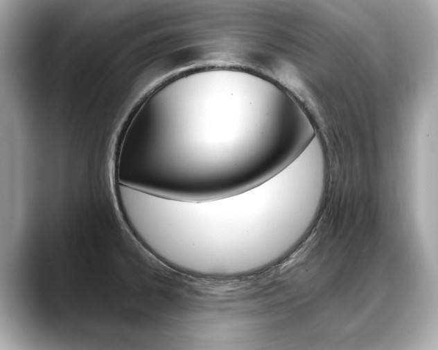 X0000088701334200705311009