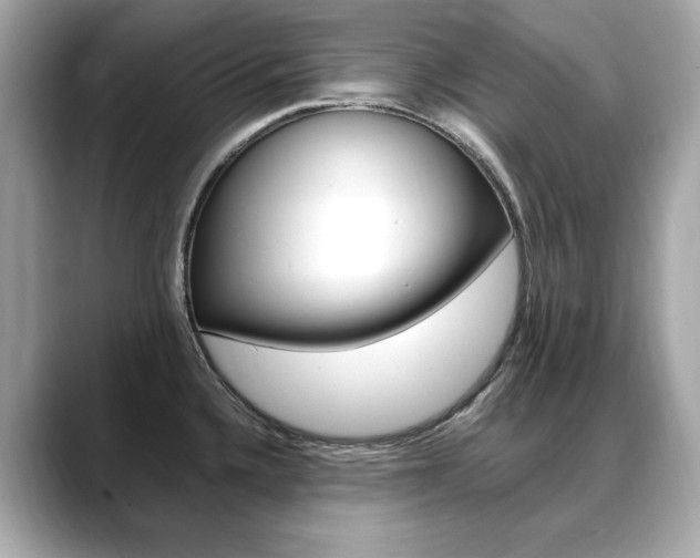 X0000088701336200705311009