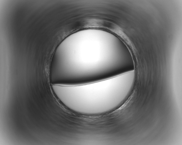 X0000088701337200705311009