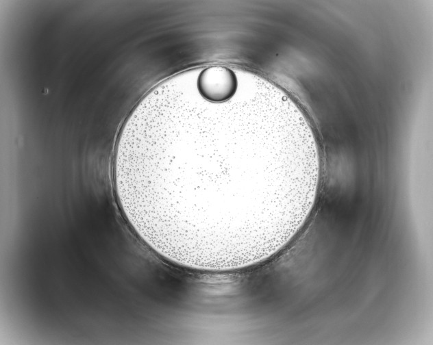 X0000088701338200705311009