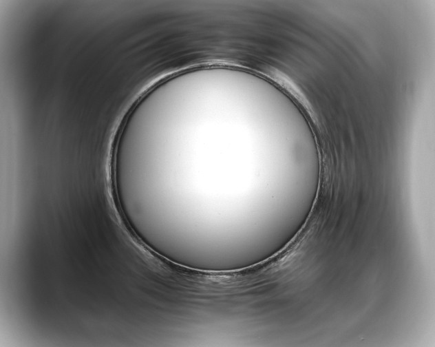 X0000088701339200705311009