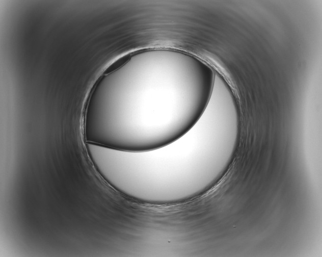 X0000088701340200705311009
