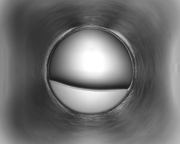 X0000088701341200705311009