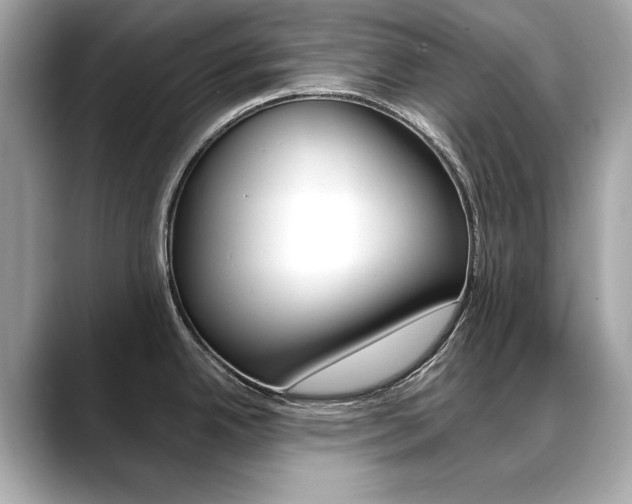 X0000088701342200705311009