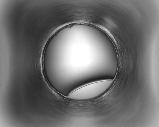 X0000088701343200705311009
