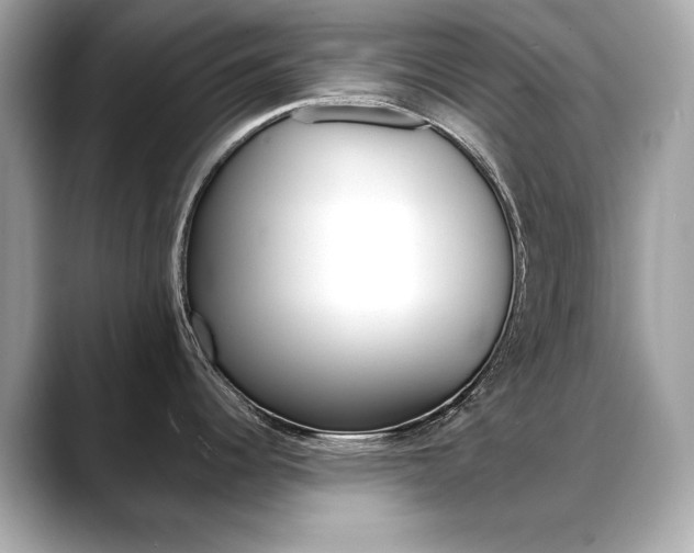 X0000088701344200705311009