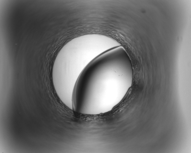 X0000088701345200705311008