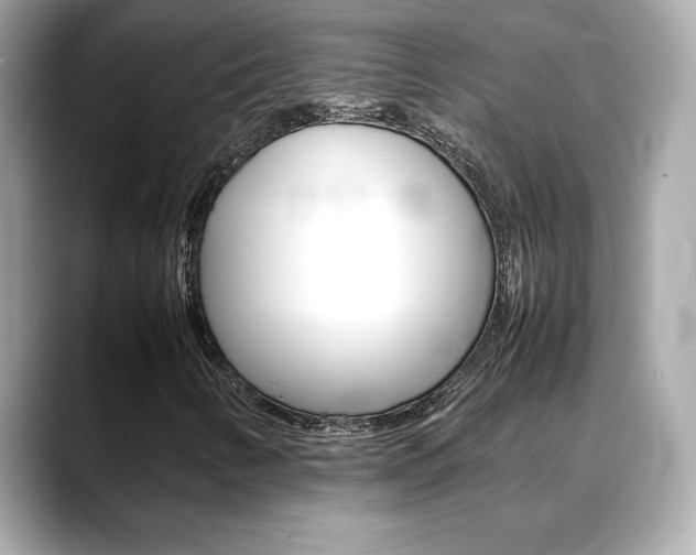 X0000088701346200705311008