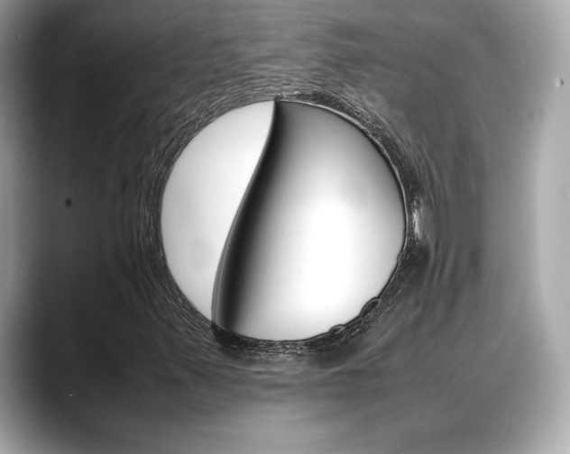 X0000088701347200705311008