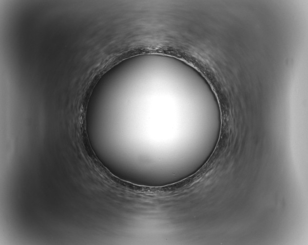 X0000088701349200705311008