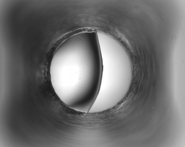 X0000088701352200705311008