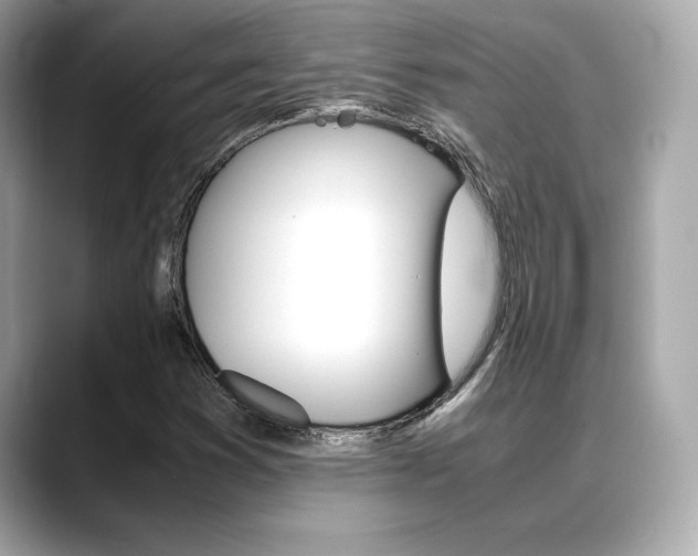 X0000088701353200705311008