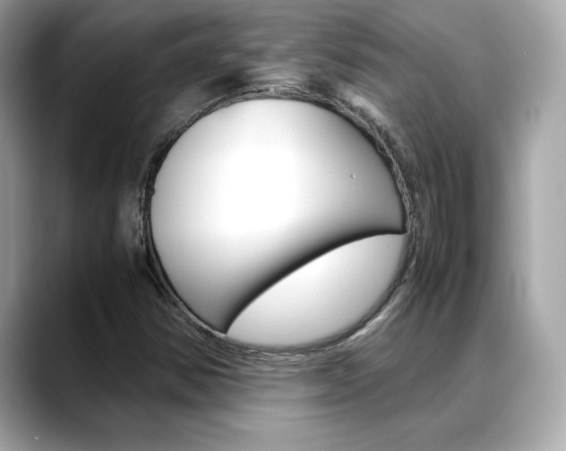 X0000088701354200705311008