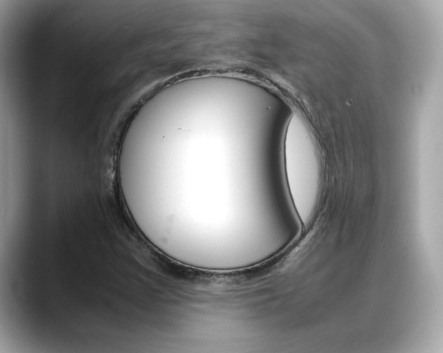 X0000088701355200705311008