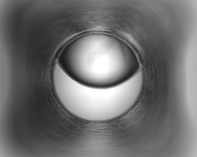 X0000088701356200705311008