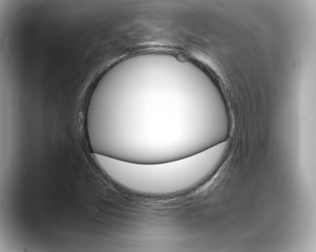 X0000088701357200705311008
