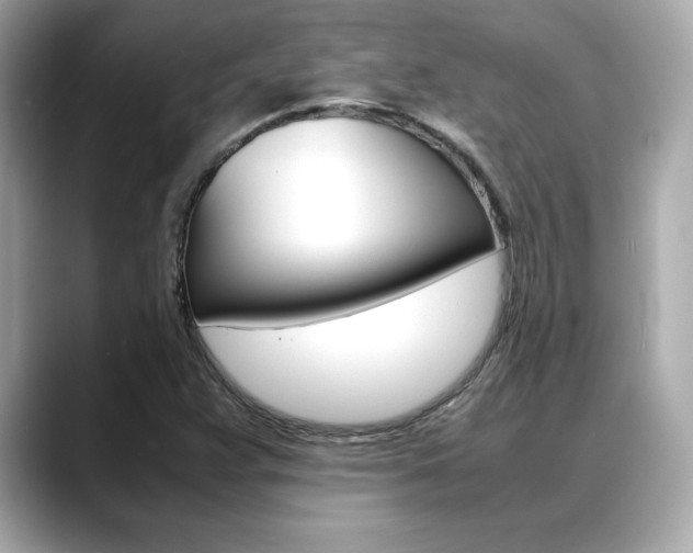 X0000088701359200705311008