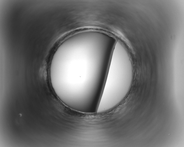 X0000088701360200705311008