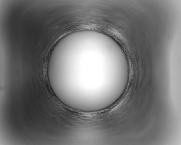 X0000088701361200705311008