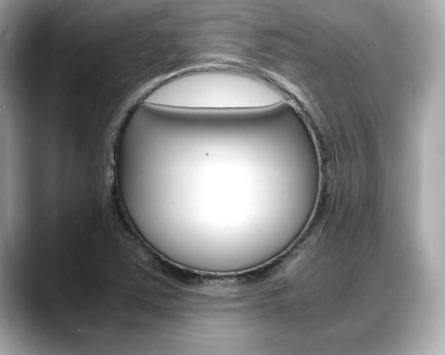 X0000088701363200705311008