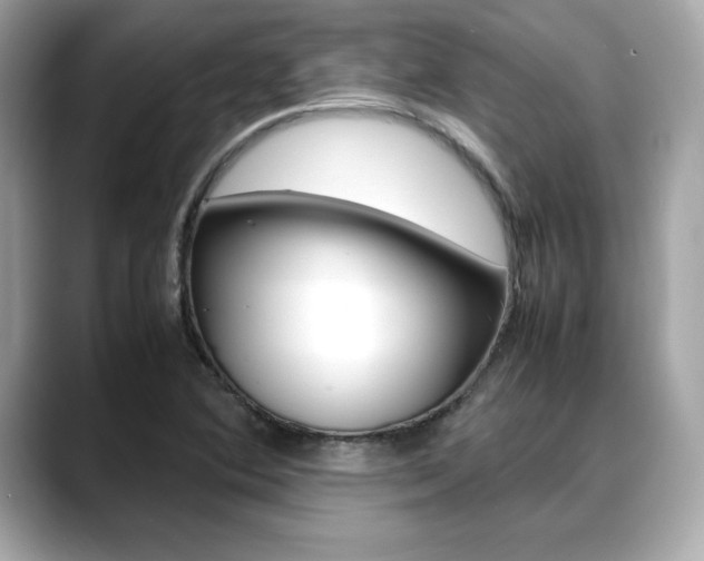 X0000088701364200705311008