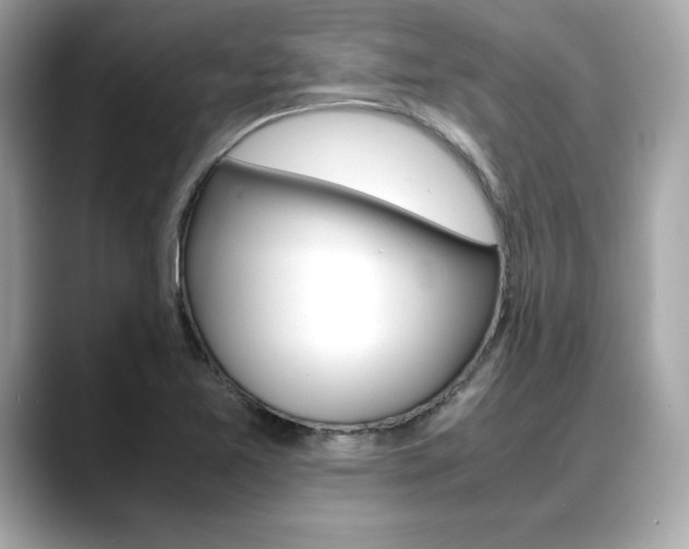 X0000088701365200705311008