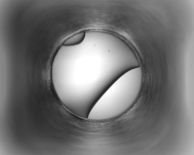 X0000088701366200705311008