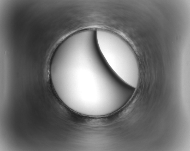 X0000088701367200705311008