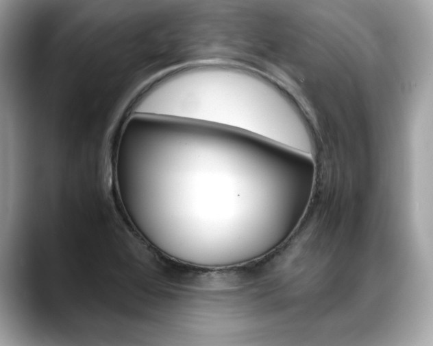 X0000088701368200705311008
