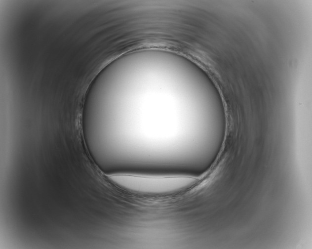X0000088701369200705311008